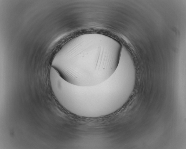 X0000113341112200910131212