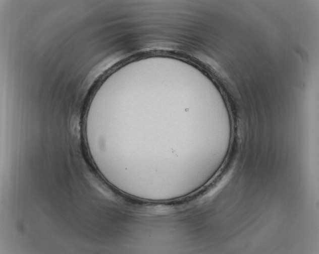 X0000113341113200910131212