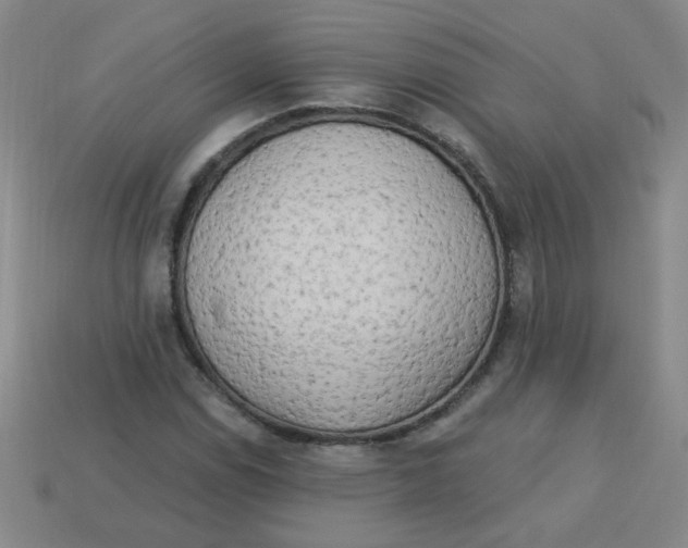 X0000113341114200910131213