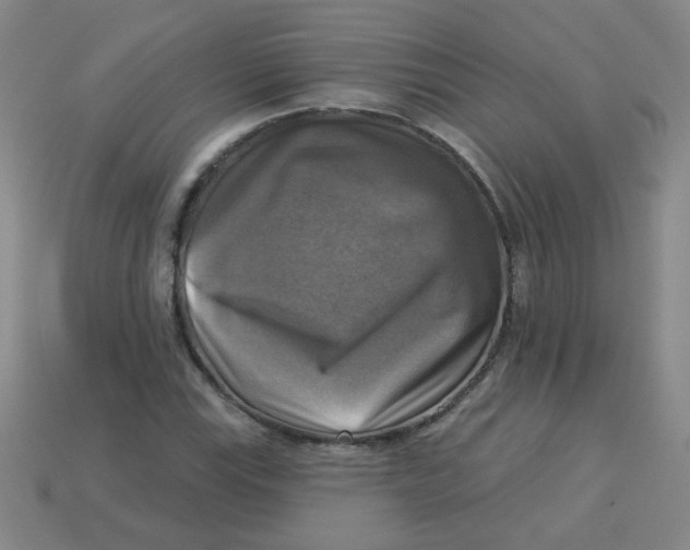 X0000113341115200910131213