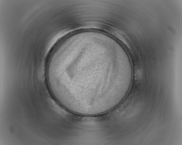 X0000113341116200910131213