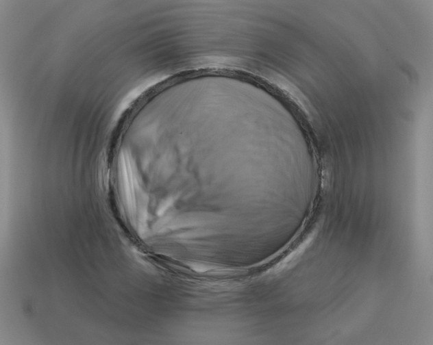 X0000113341117200910131213