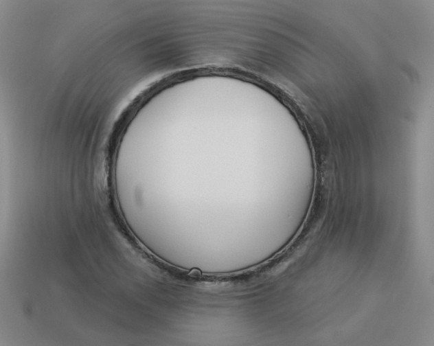 X0000113341118200910131213