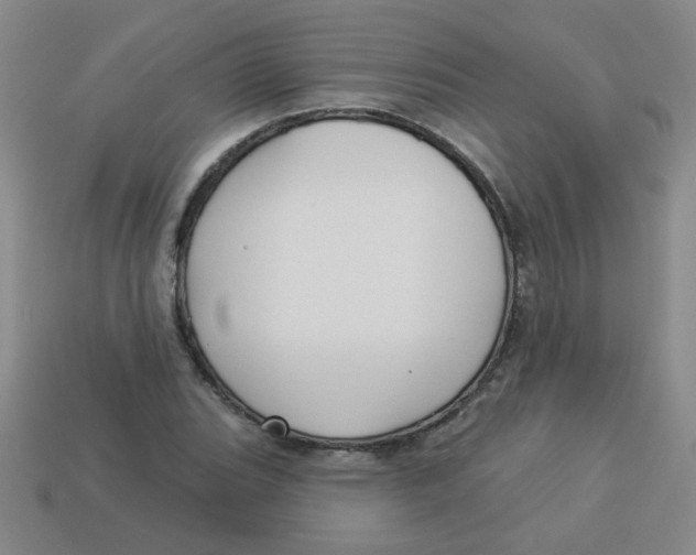 X0000113341119200910131213