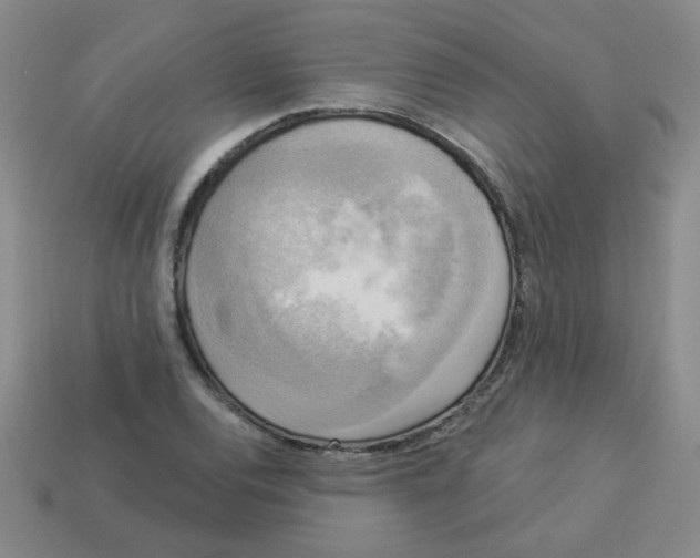 X0000113341120200910131213