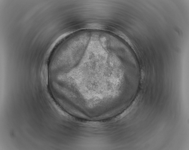 X0000113341123200910131213