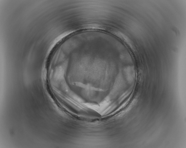 X0000113341125200910131213