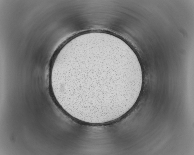 X0000113341126200910131213