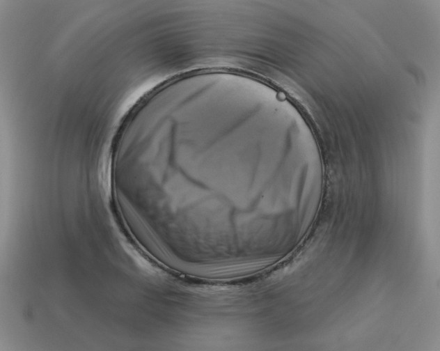 X0000113341127200910131213
