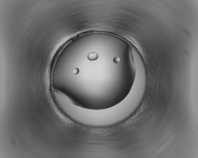 X0000113341128200910131213