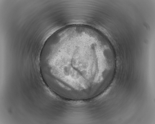 X0000113341129200910131213