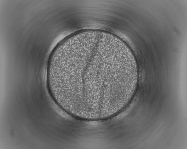 X0000113341130200910131213