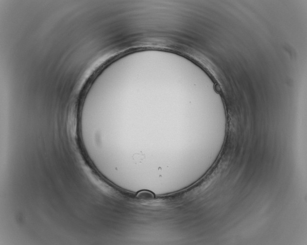 X0000113341131200910131213