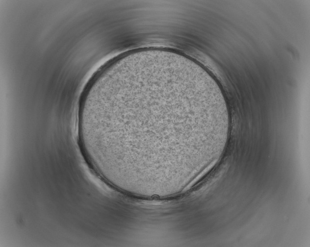 X0000113341132200910131213