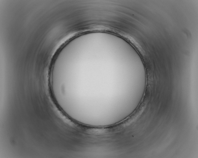 X0000113341134200910131213