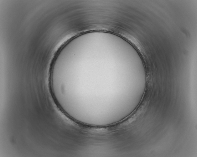 X0000113341135200910131213