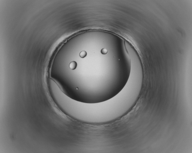 X0000113341136200910131213