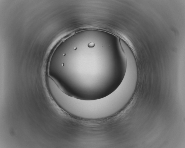 X0000113341138200910131213