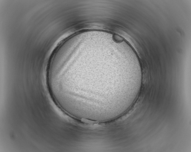 X0000113341139200910131213