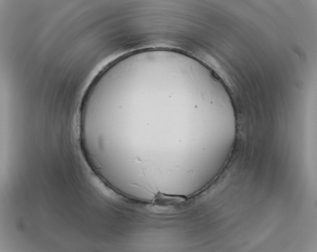 X0000113341140200910131213