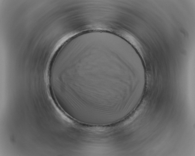 X0000113341141200910131213