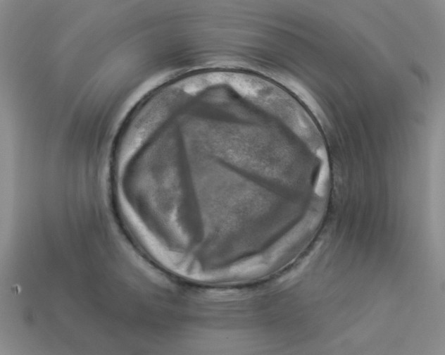X0000113341142200910131213
