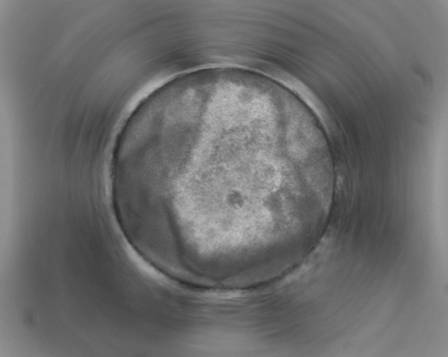 X0000113341143200910131213