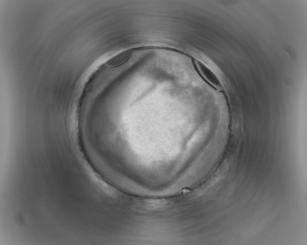 X0000113341144200910131213