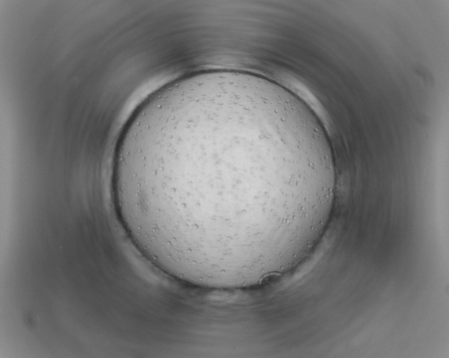 X0000113341146200910131213