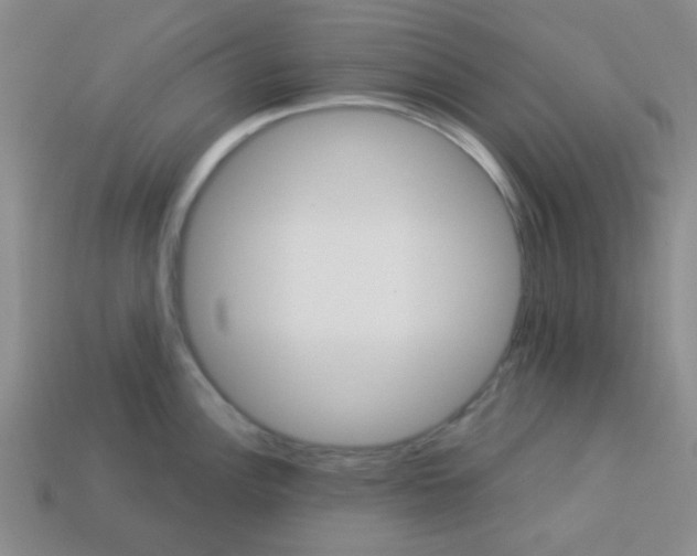 X0000113341148200910131213