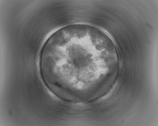 X0000113341149200910131213