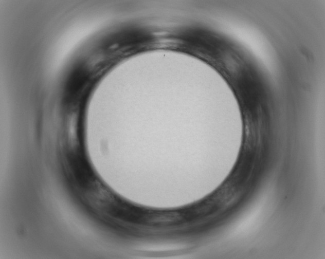 X0000113341150200910131213
