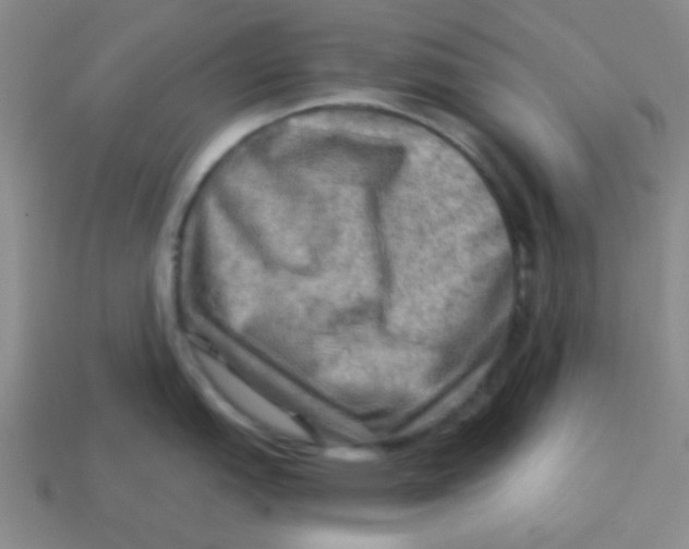 X0000113341151200910131213