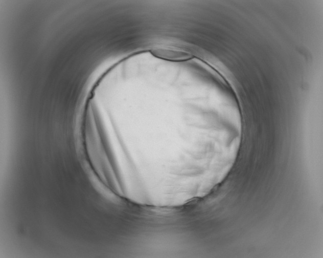 X0000113341152200910131213