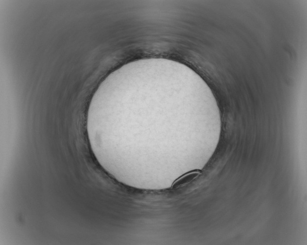 X0000113341153200910131212