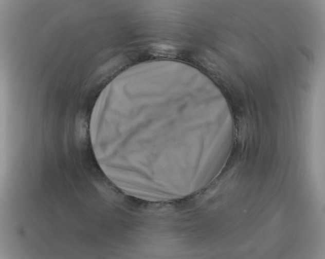 X0000113341154200910131212