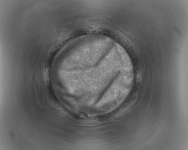 X0000113341156200910131212