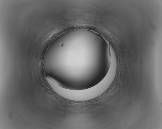 X0000113341157200910131212