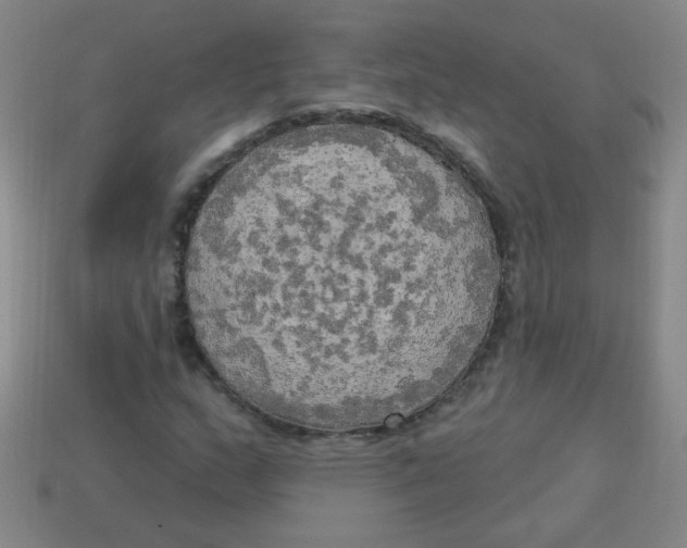 X0000113341159200910131212