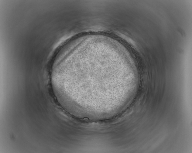 X0000113341160200910131212