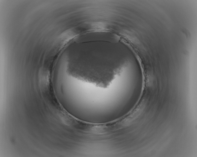 X0000113341161200910131212