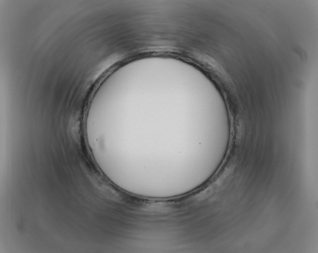 X0000113341162200910131212