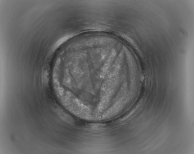 X0000113341163200910131212