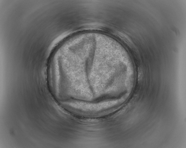 X0000113341164200910131212