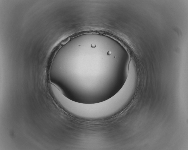 X0000113341165200910131212