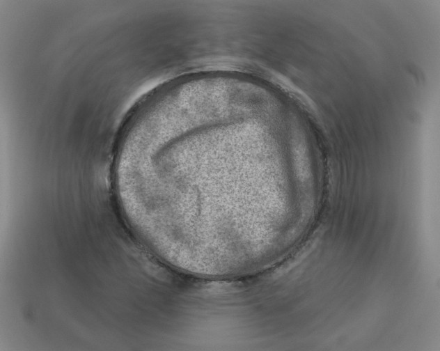 X0000113341166200910131212