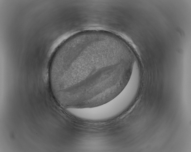 X0000113341167200910131212