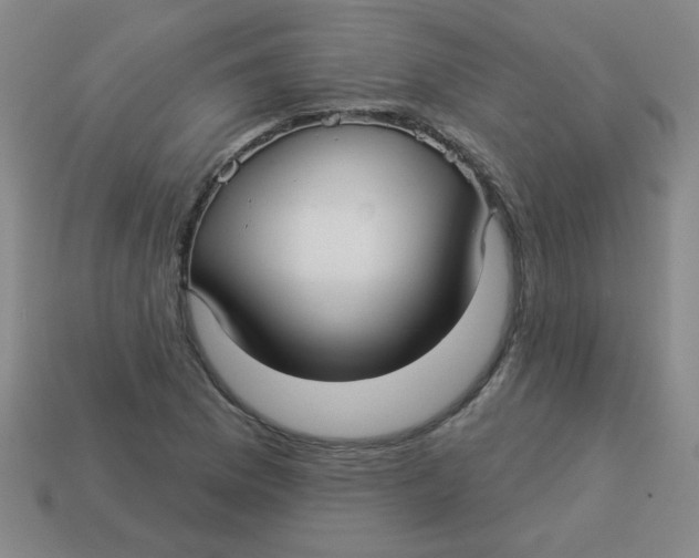 X0000113341169200910131212