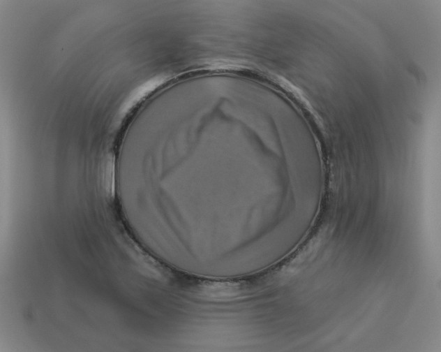 X0000113341171200910131212