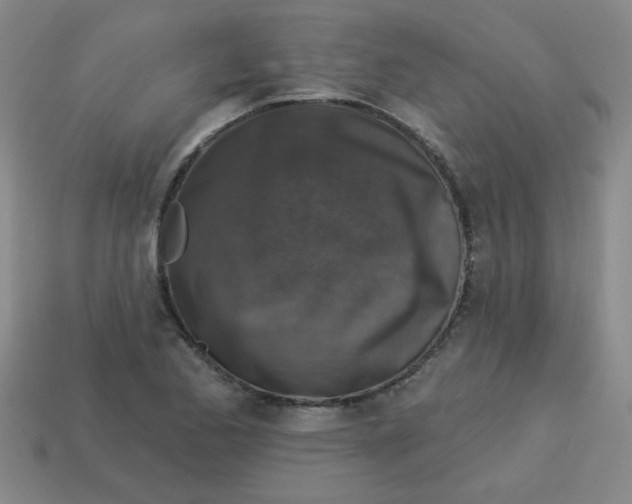 X0000113341173200910131212